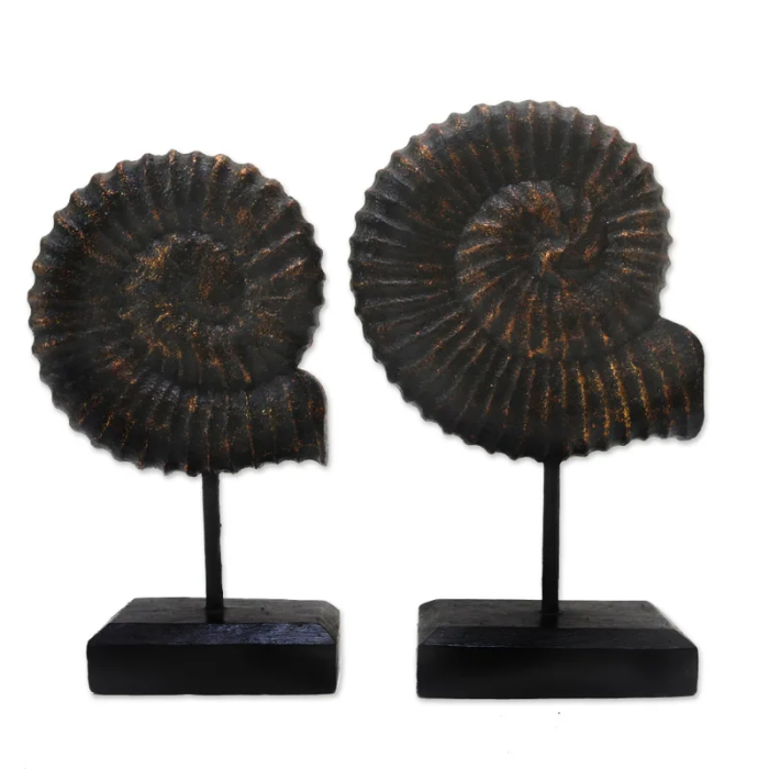 wood shell sculpture